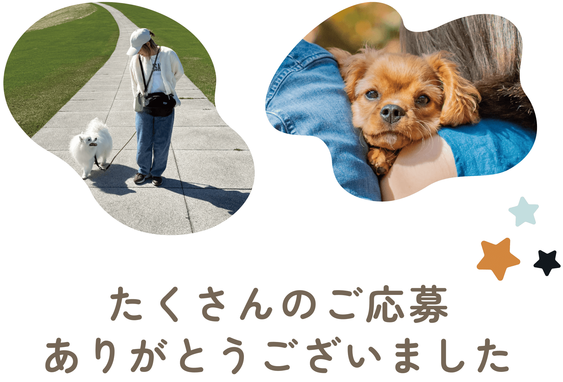 たくさんのご応募ありがとうございました