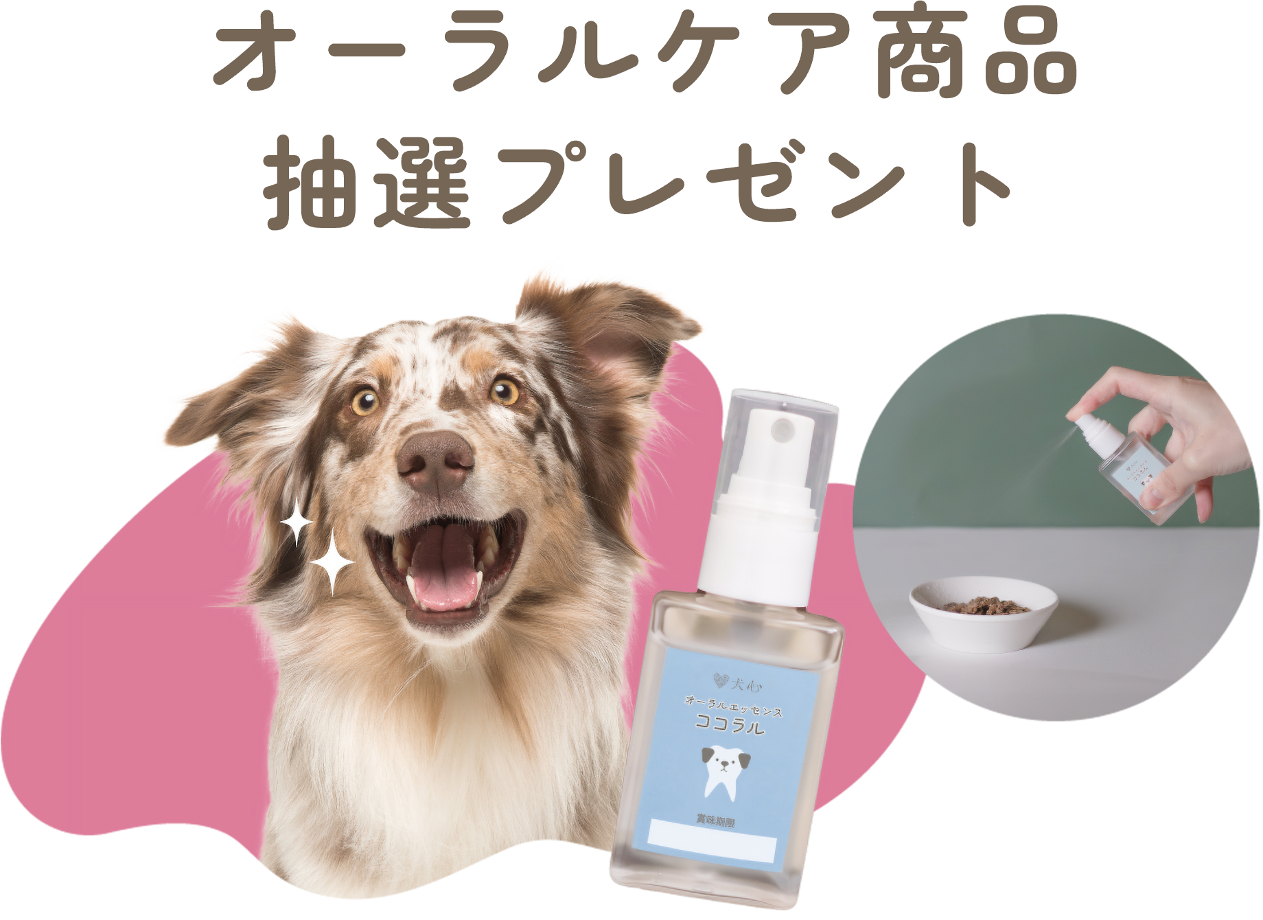 オーラルケア商品抽選プレゼント