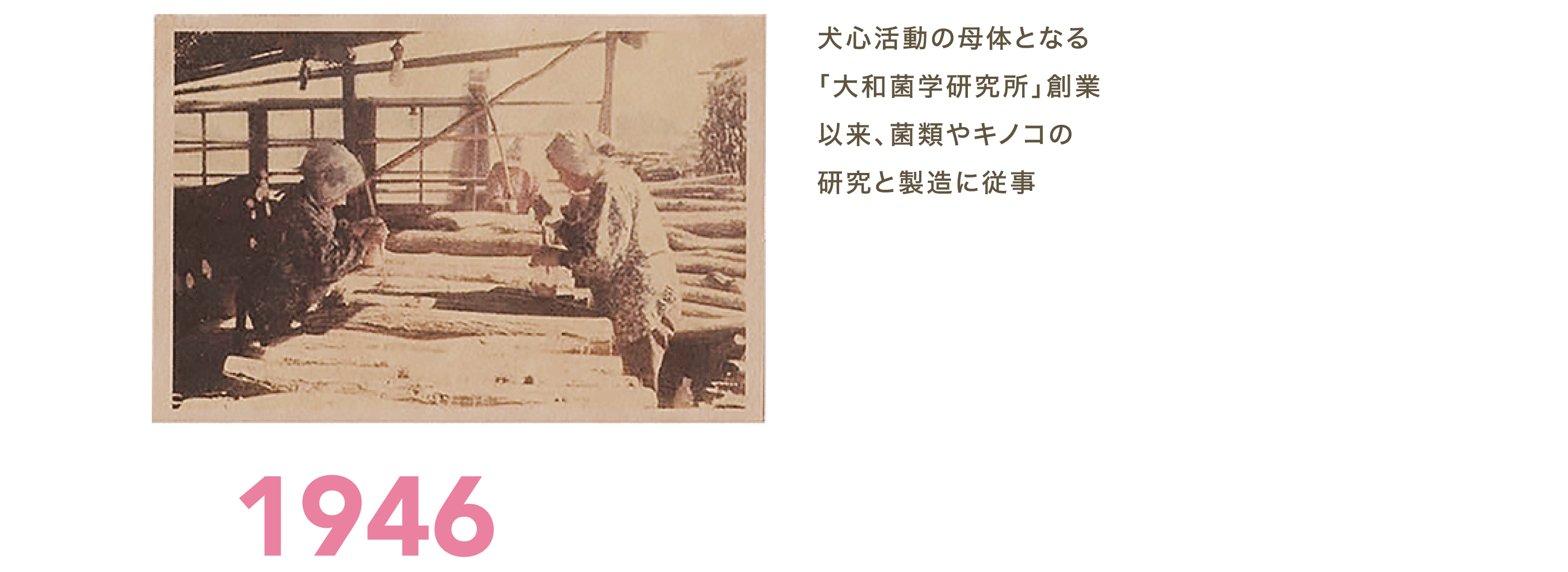 1946