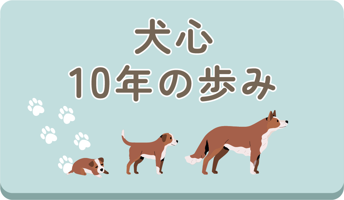 犬心 10年の歩み