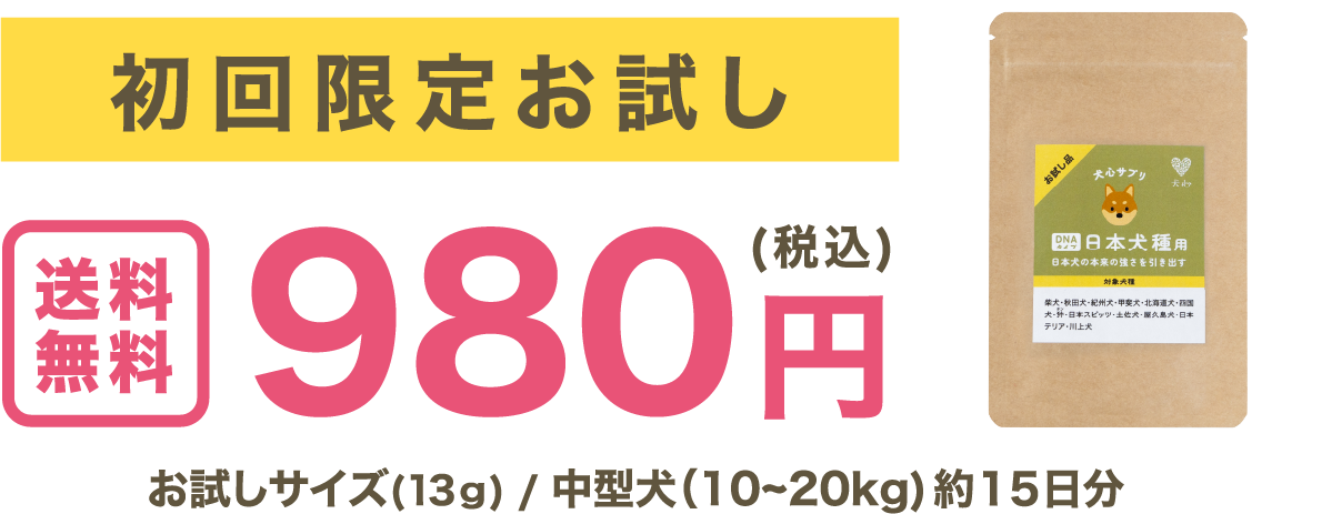 初回限定お試し