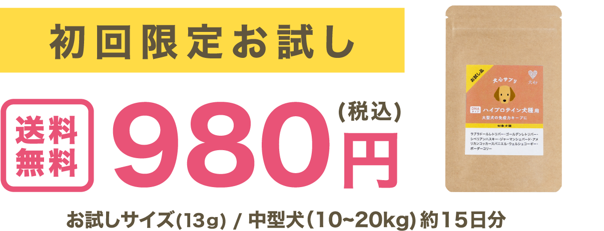 初回限定お試し