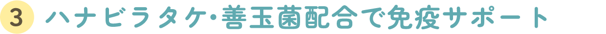 ハナビラタケ・善玉菌配合で免疫サポート