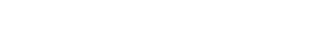 ナチュラル・ドッグフード「ルート」お勧めの理由