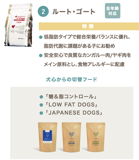 ルート・ゴート