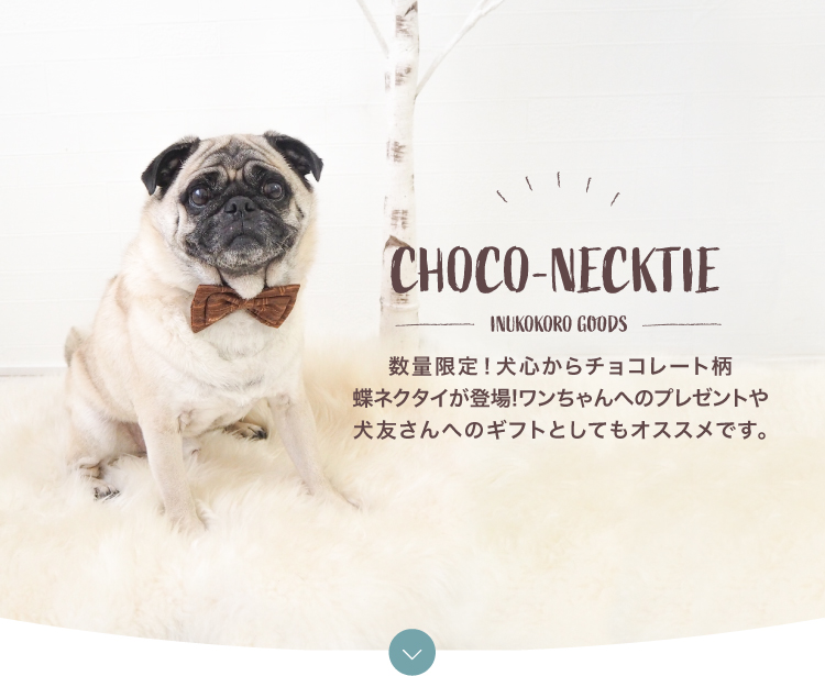 CHOCO-NECKTIE 数量限定！犬心からチョコレート柄蝶ネクタイが登場！ワンちゃんへのプレゼントや犬友さんへのギフトとしてもオススメです。