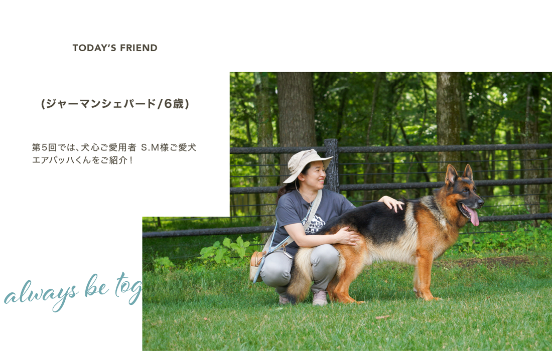 村山様の愛犬　シェパードのエア君をご紹介