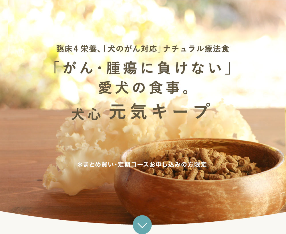 がん・腫瘍に負けない愛犬の食事 犬心 元気キープ