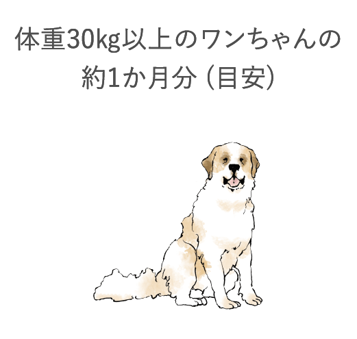 犬心～低たんぱくバランス - 犬心～INUKOKORO～