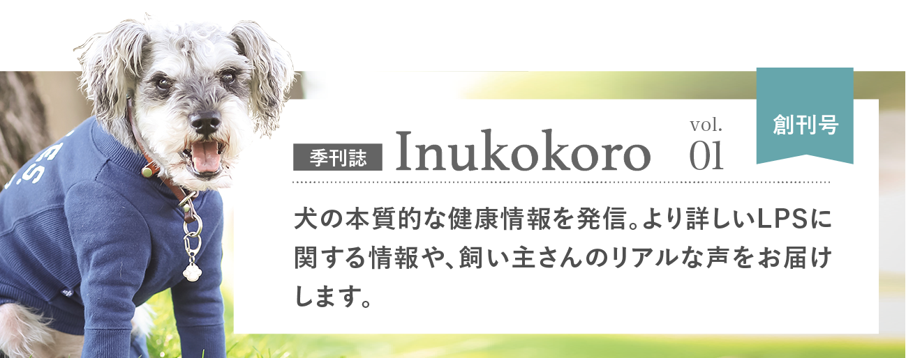 季刊誌「Inukokoro」犬の本質的な健康情報を発信。より詳しいLPSに関する情報や、飼い主さんのリアルな声をお届けします。