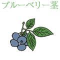 ブルーベリー茎