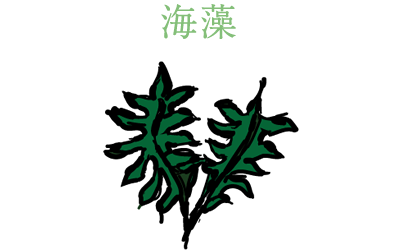 海藻