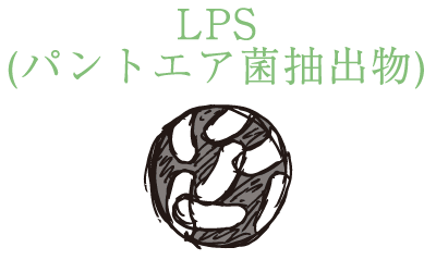 LPS（パントエア菌抽出物）