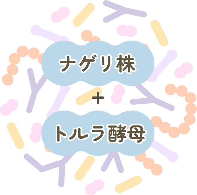 2つの有用菌