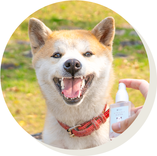 朝だけ、夕方だけでもOK!状況に合わせて使えます