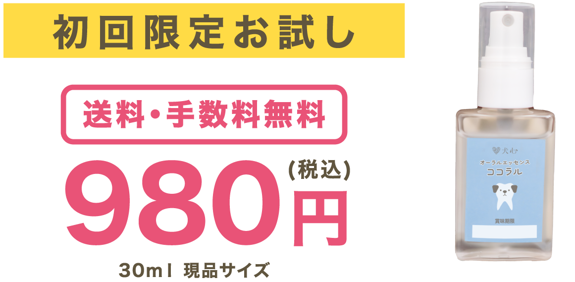初回限定お試し