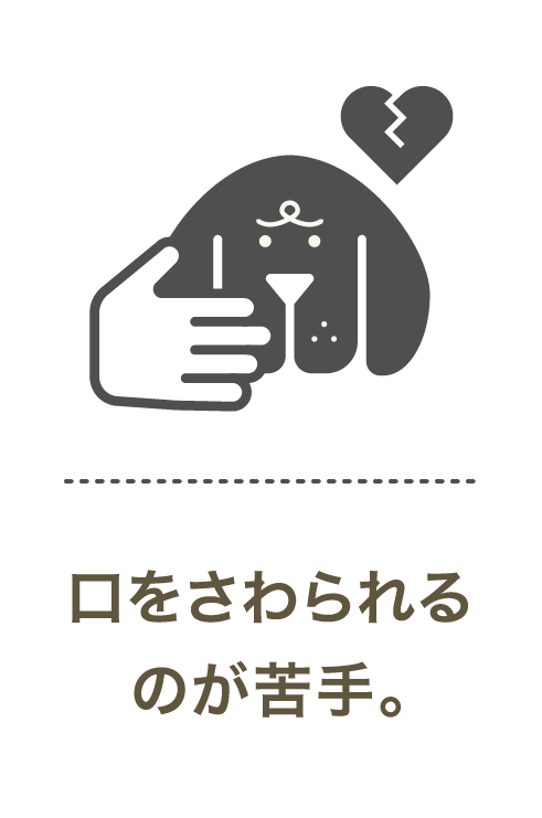 口をさわられるのが苦手。