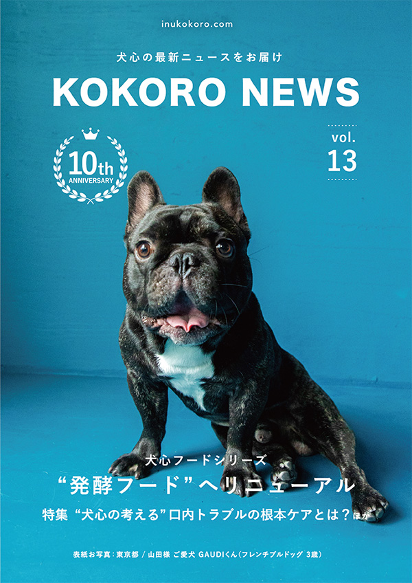 KOKORO NEWS vol.13