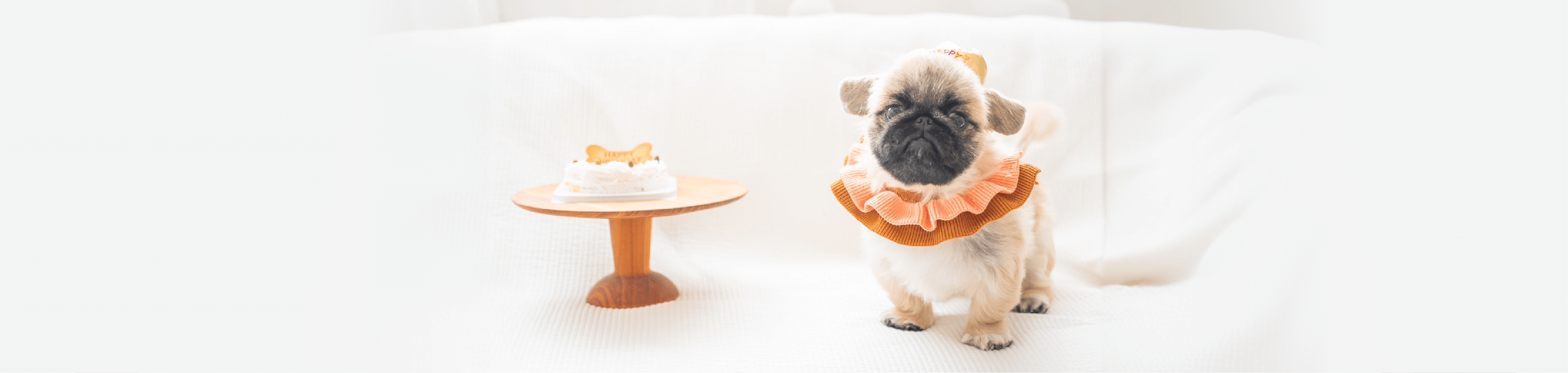 10th anniversary お祝いメッセージ