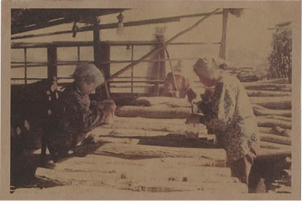 私たちは、1946年の創業以来、キノコを中心に菌類の研究と製造に取りくんできました
