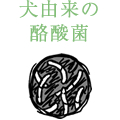 犬由来の酪酸菌