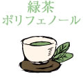 緑茶ポリフェノール