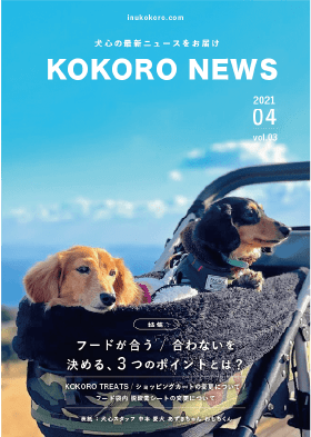 KOKORO NEWS vol.03