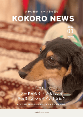 KOKORO NEWS vol.02