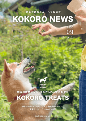 KOKORO NEWS vol.01