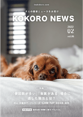 KOKORO NEWS vol.06