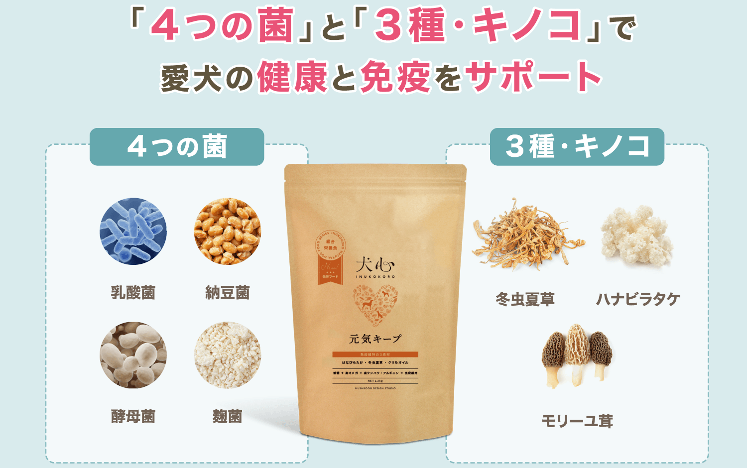 「4つの菌」と「3種・キノコ」で愛犬の健康と免疫をサポート