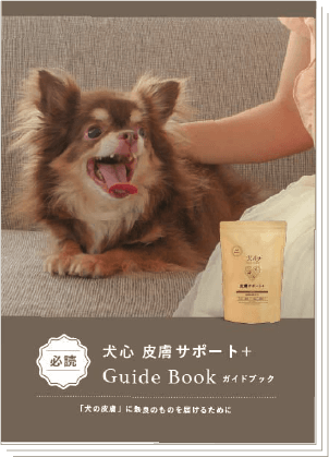 ガイドブック