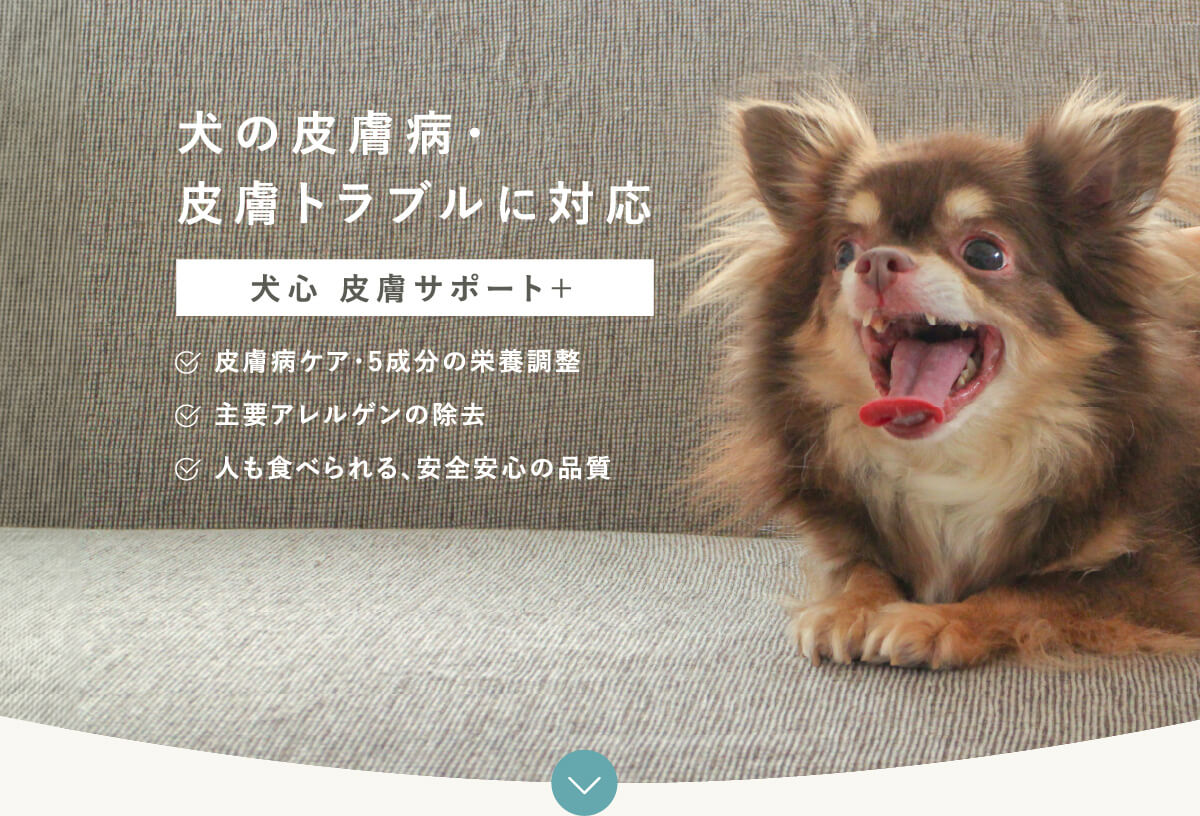 皮膚サポート+
