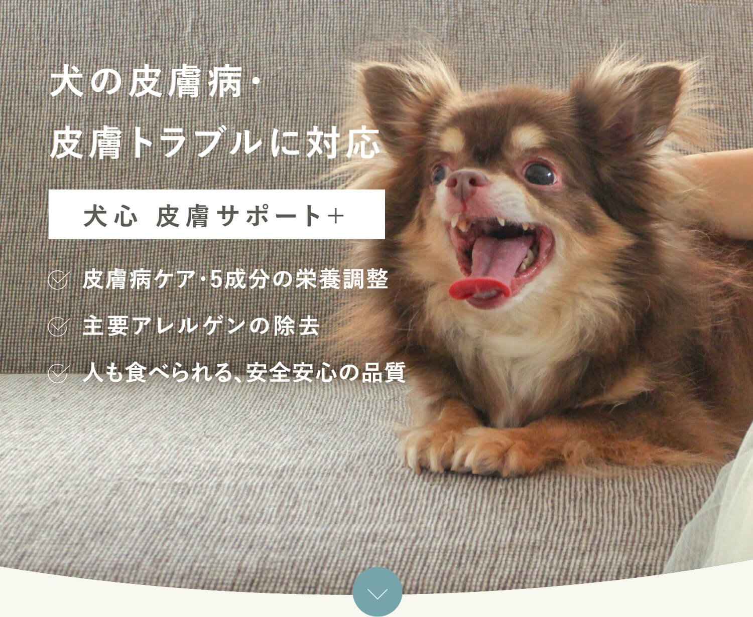 皮膚サポート+