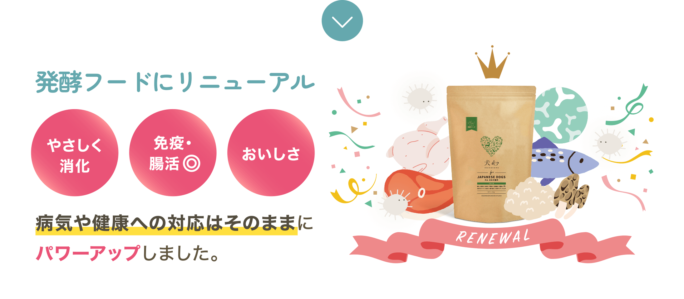 発酵フードにリニューアル