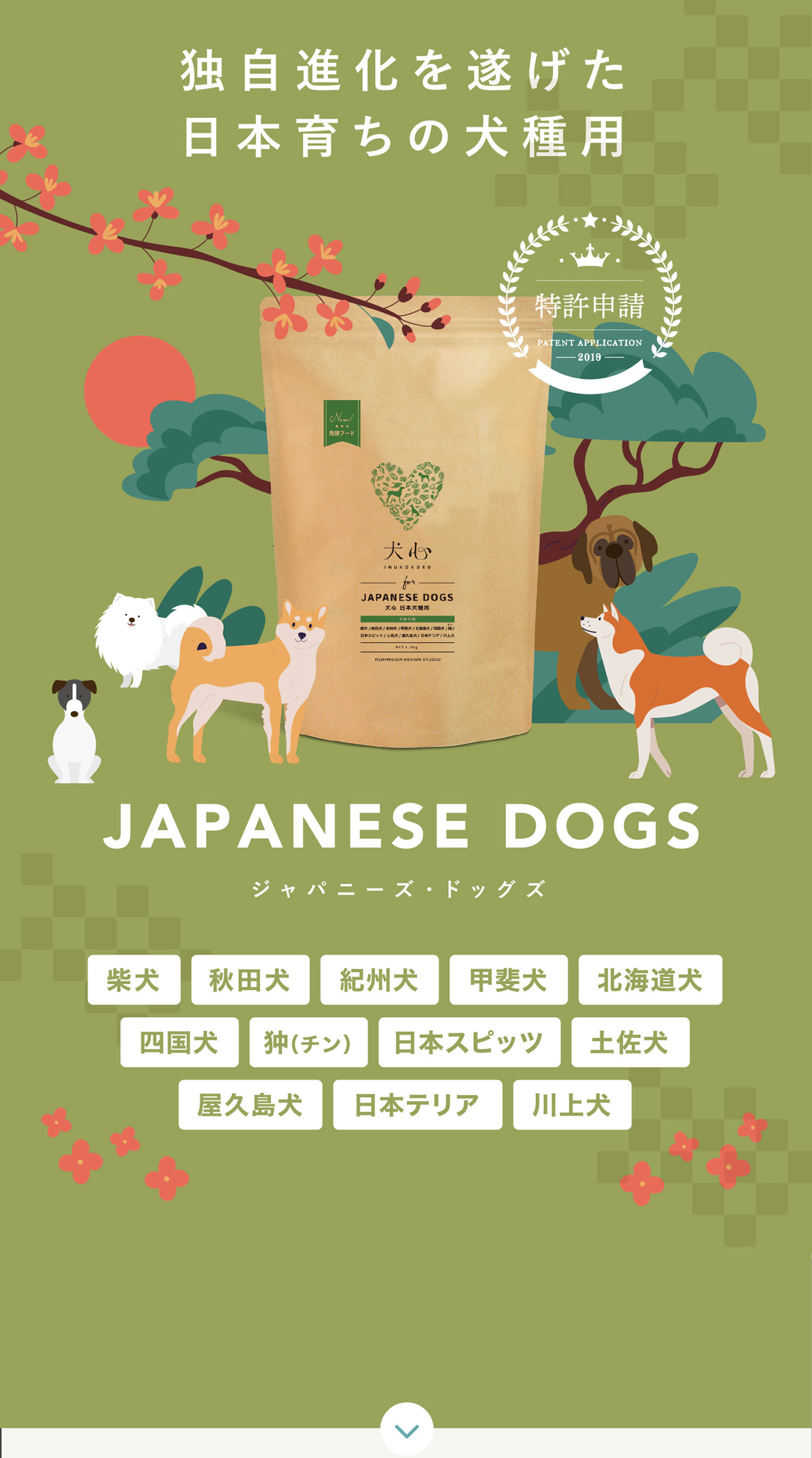 ジャパニーズドッグズ