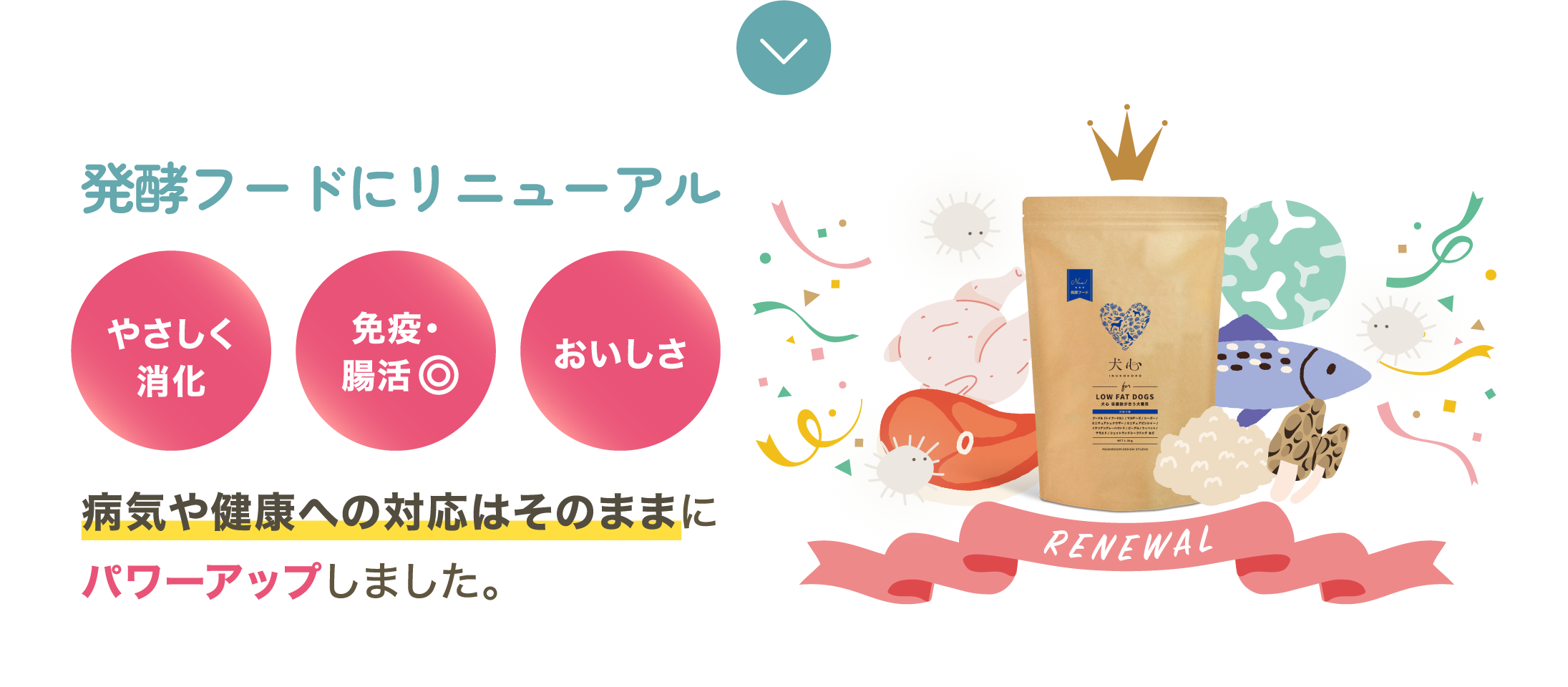 発酵フードにリニューアル