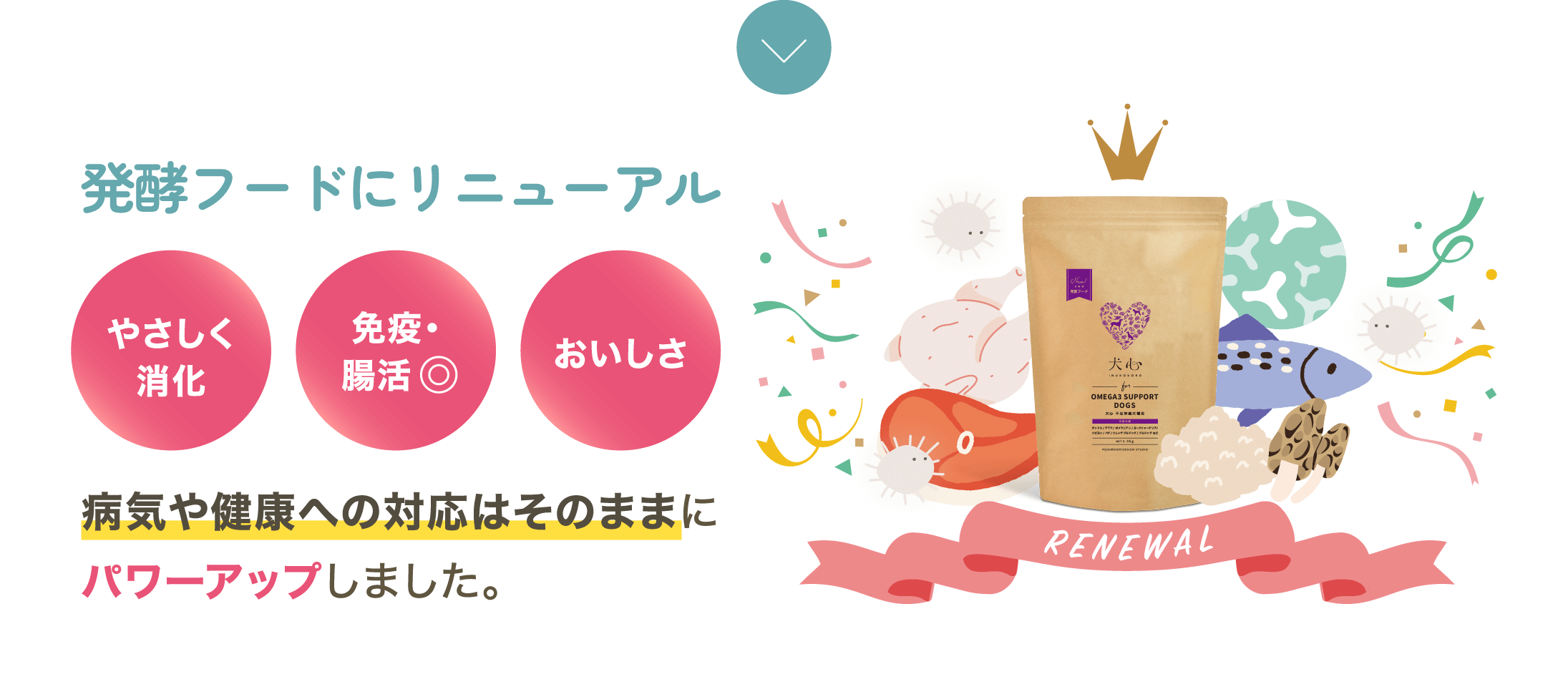 発酵フードにリニューアル