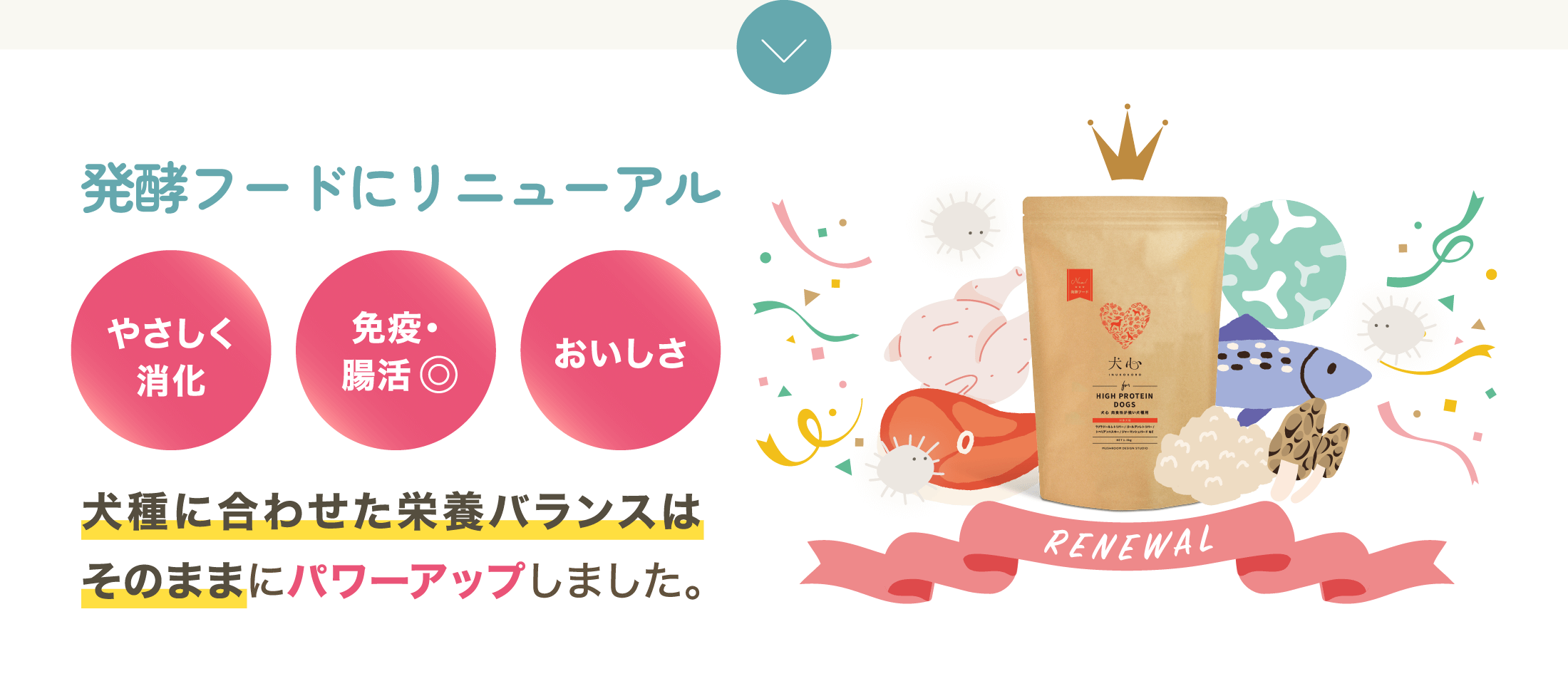 発酵フードにリニューアル