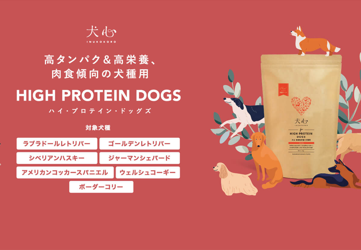 ハイプロテインドッグズ