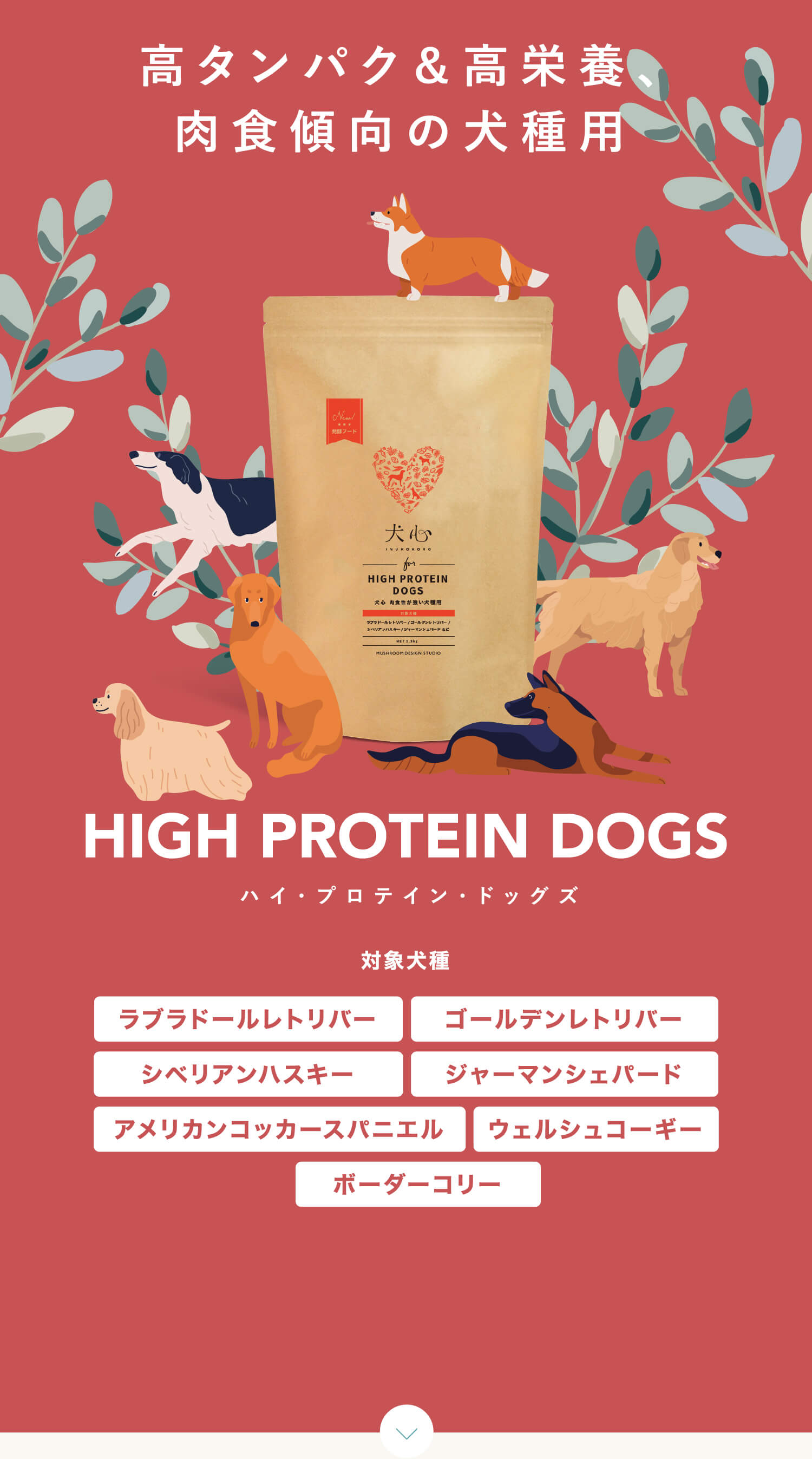 ハイプロテインドッグズ