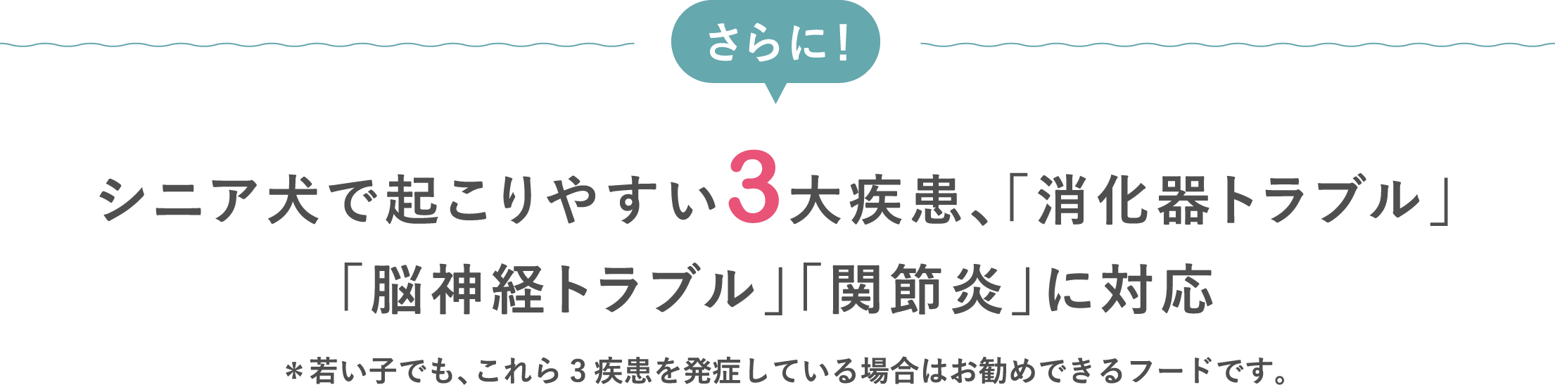 シニア犬で起こりやすい3大疾患、「高脂肪＆消化負担が問題となる疾患」「脳神経トラブル」「関節炎」に対応