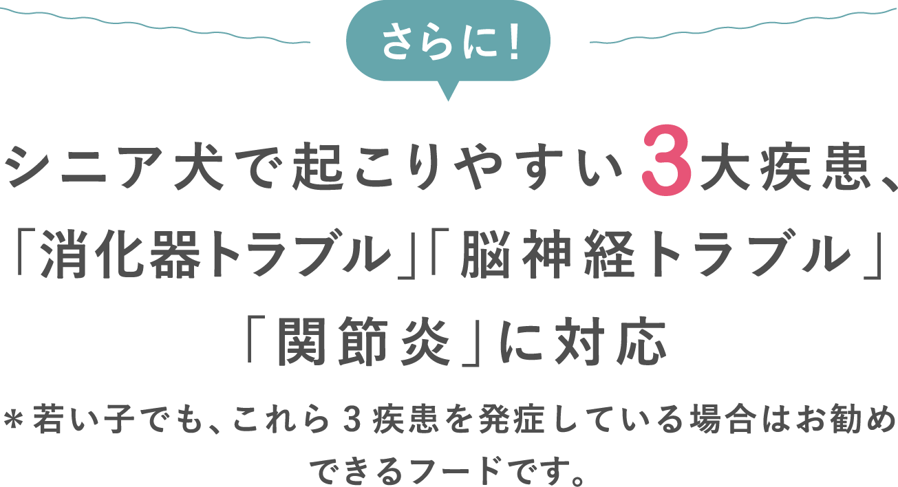 シニア犬で起こりやすい3大疾患、「消化器トラブル」「脳神経トラブル」「関節炎」に対応