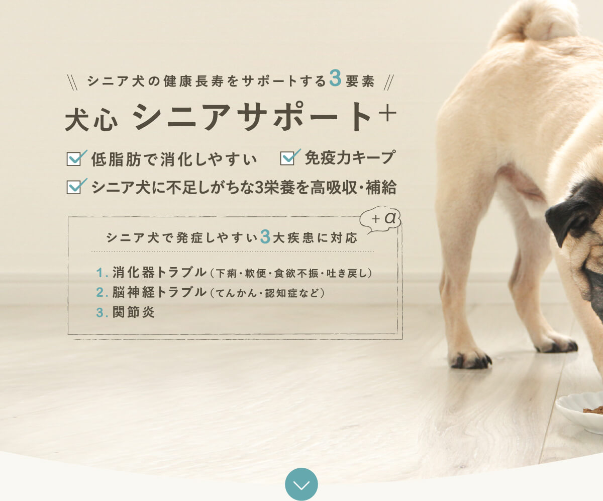 シニアサポート＋