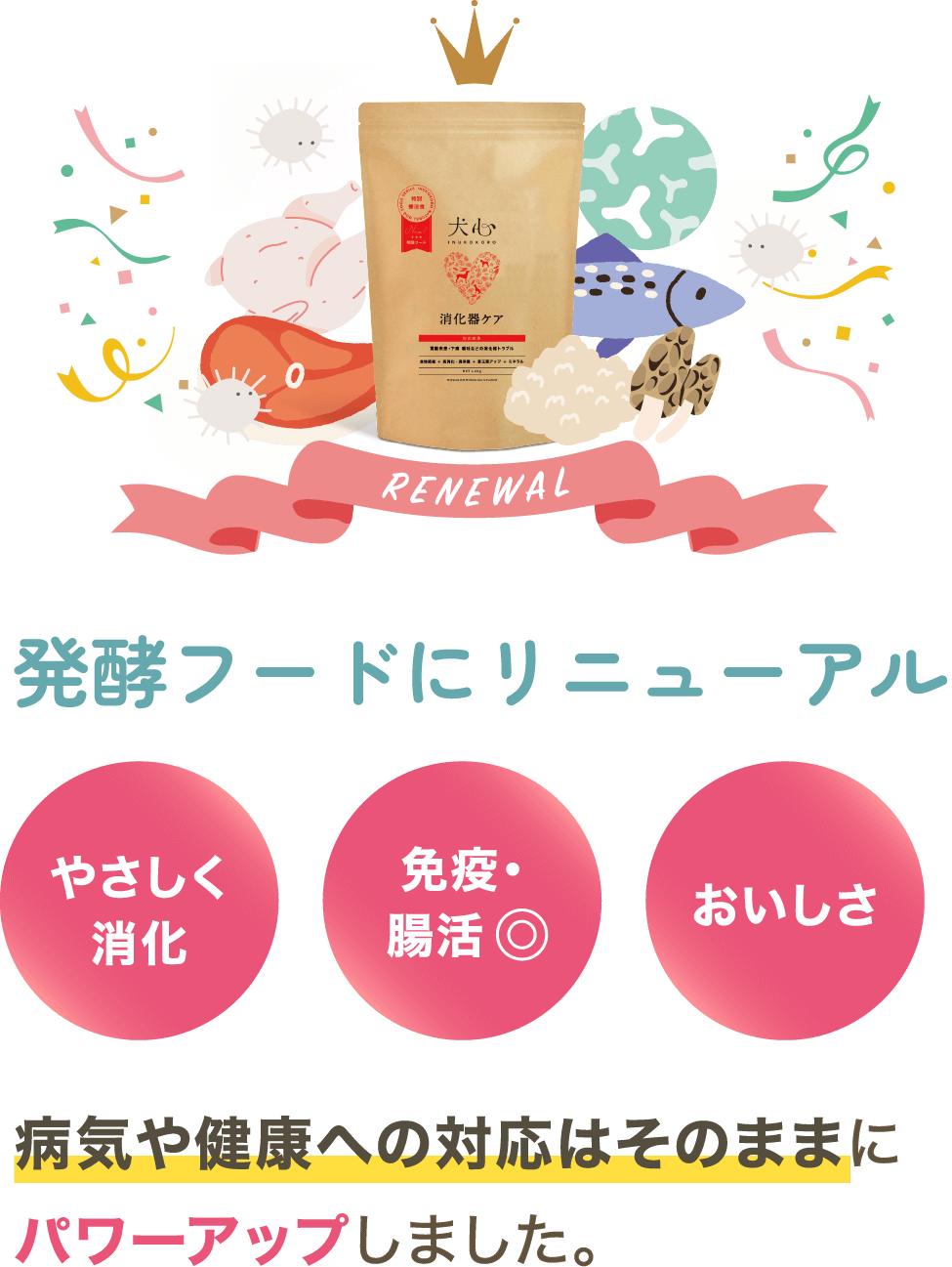 発酵フードにリニューアル