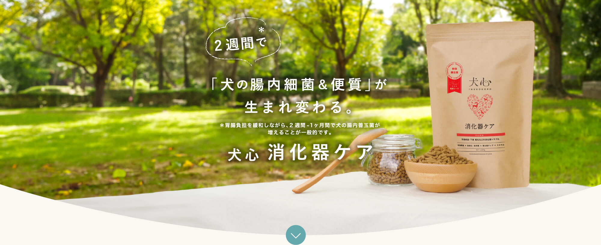 消化器ケア