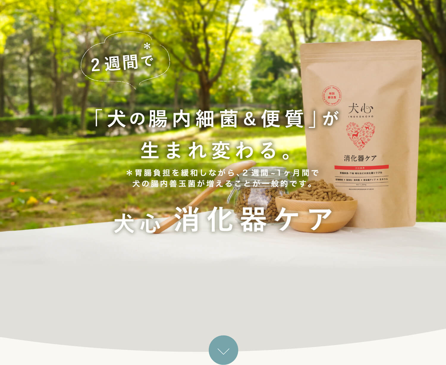 消化器ケア
