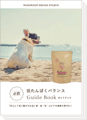 ガイドブック