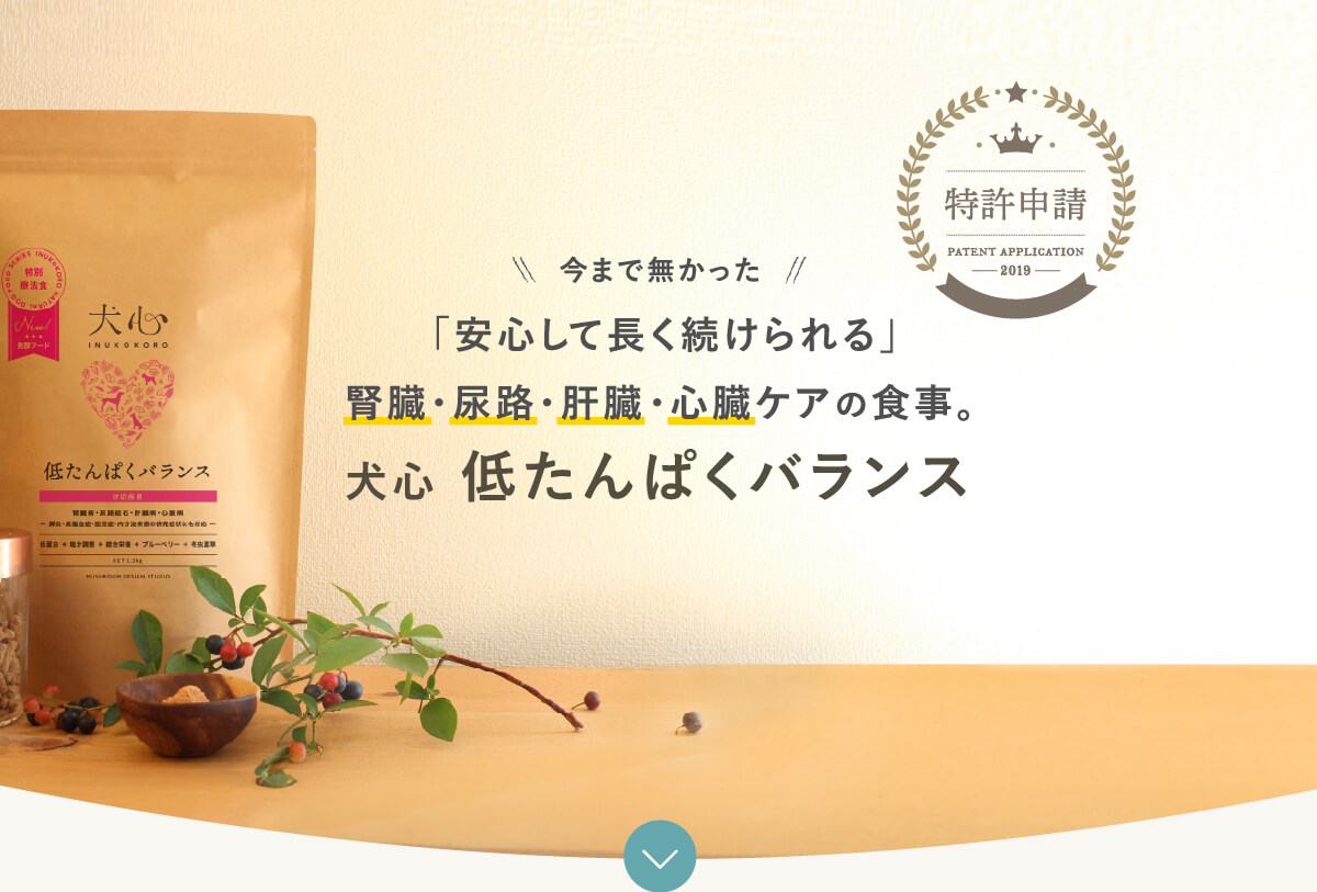低たんぱくバランス
