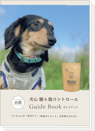 ガイドブック